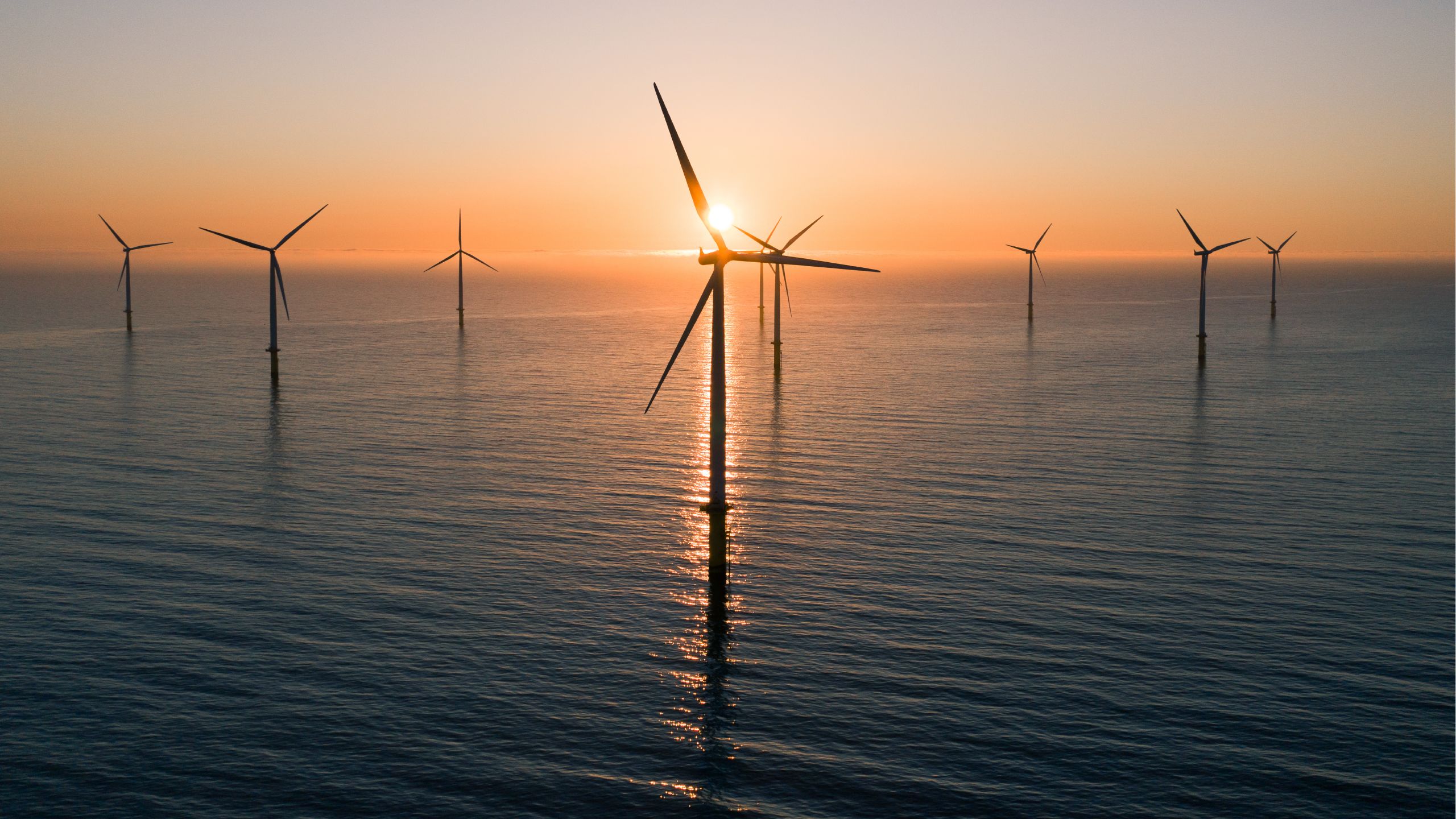 wind farm climate change crisis 2022